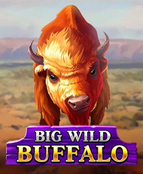 Play Big Wild Buffalo at Win British Casino
